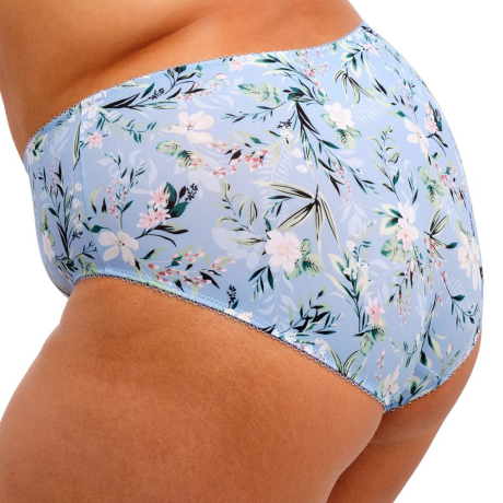 Goddess Kayla Briefs in Cornflower