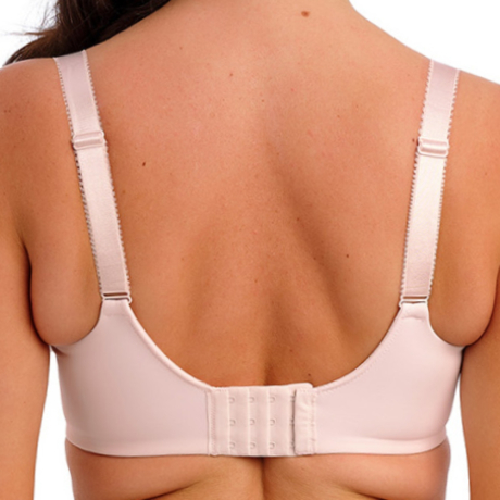 Fantasie Demure Bra in Delicacy