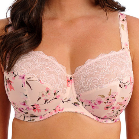 Fantasie Lucia Bra in Rosewater
