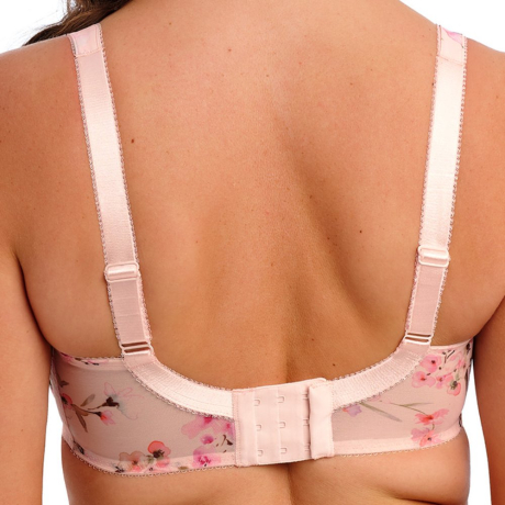 Fantasie Lucia Bra in Rosewater
