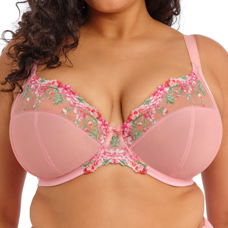 Elomi Aerith Bra in Rose 