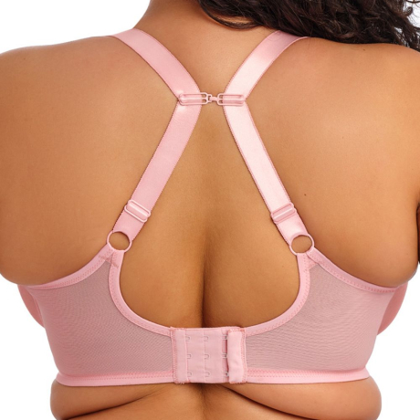 Elomi Aerith Bra in Rose 