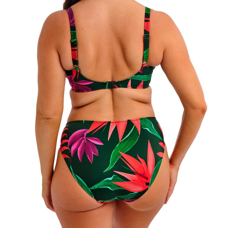 Fantasie Swim Pichola Mangrove Bikini Top FS503901 and Bikini Briefs FS503972