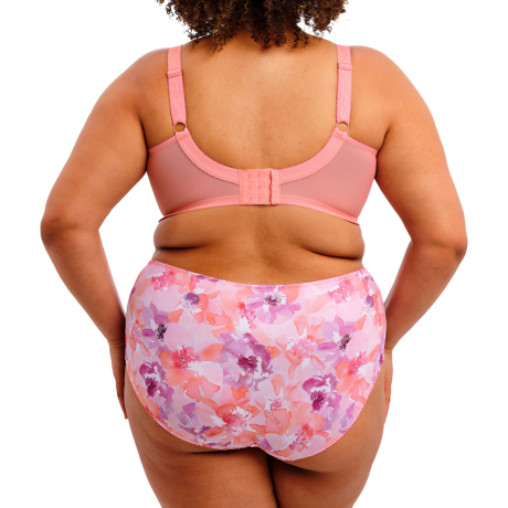 CORAL PETAL,Goddess,Kayla,2021,bra,GD6162,briefs,GD6168,back view