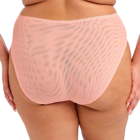 Backview of Elomi Zarla Briefs In Rose Bud ES302553
