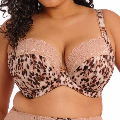 Elomi Lucie Bra in Wildcat EL4490
