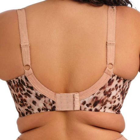 Backview of Elomi Lucie Bra in Wildcat EL4490
