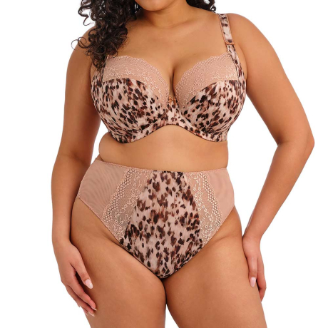 Elomi Lucie Bra and Briefs in Wildcat EL4490 and EL4498
