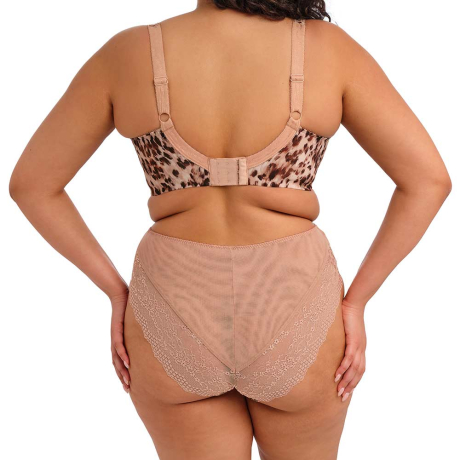Backview of Elomi Lucie Bra and Briefs in Wildcat EL4490 and EL4498
