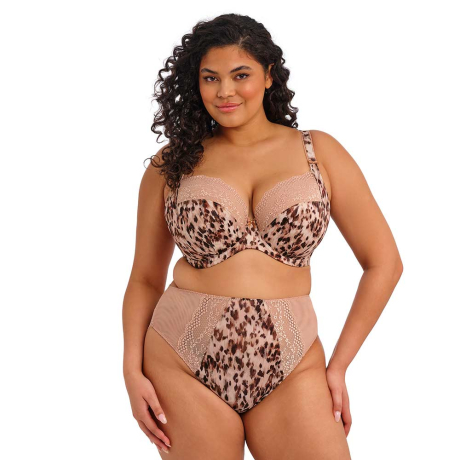 Elomi Lucie Bra and Briefs in Wildcat EL4490 and EL4498
