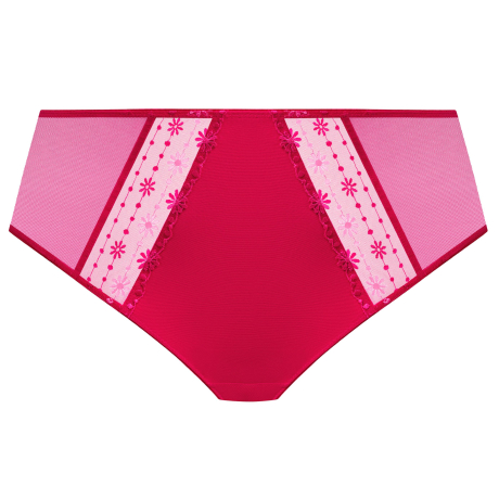 Matilda Full Coverage Briefs