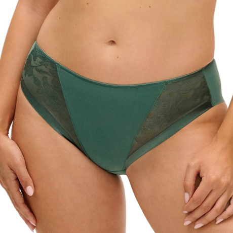 Fantasie Illusion brief product in meadow mist FL2985- front view image