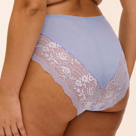 Backview of Elomi Morgan Briefs in Blue Leopard EL4118
