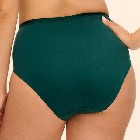Backview of Fantasie Demure Briefs In Forest Green FL103251
