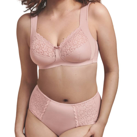 Anita Havanna bra brief product in rosewood 5813 1512- full set image