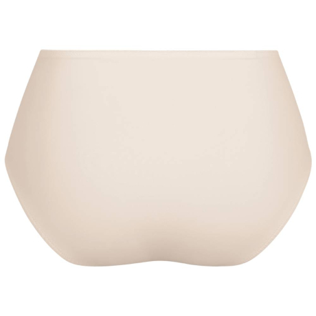 CRYSTAL,Anita Comfort,2026,Leni briefs,1515,coutout back view