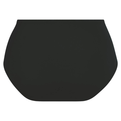 BLACK,Anita Comfort,2026,Leni briefs,1515,cutout back view