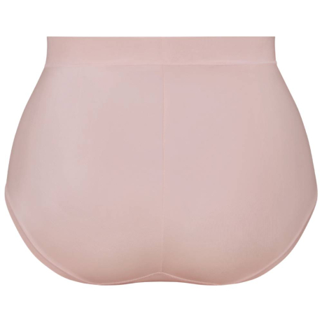 ROSEWATER,Anita Comfort,Claire Full Briefs,2026,1333,cutout back view