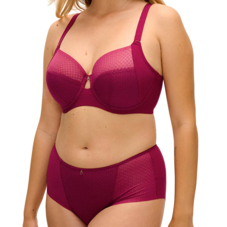 Fantasie Evolution comfort bra and brief product in ruby FL104401 FL104451- full set image