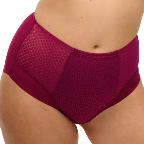 Fantasie Evolution comfort high brief product in ruby FL104452- front view image
