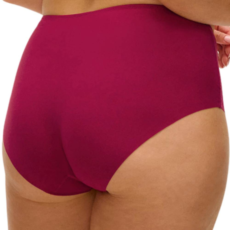 Fantasie Evolution comfort brief product in ruby FL104451- back view image
