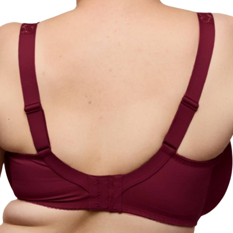 Primadonna Salerno fuller bust bra product in evening red 0163535- back view image